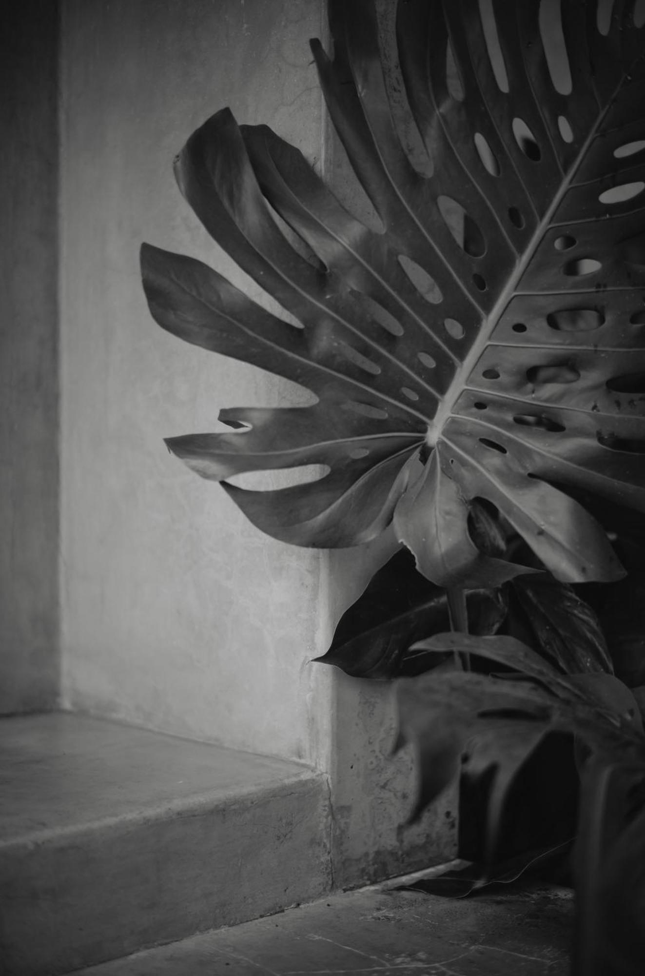 Anzan Atitlan San Marcos La Laguna Exterior foto